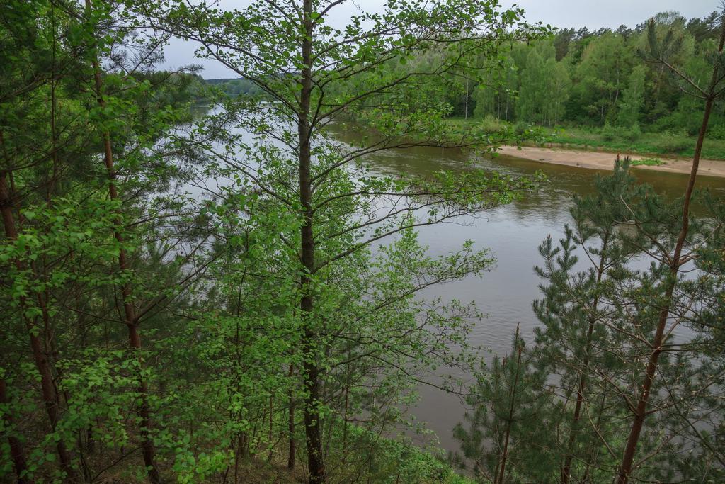 Butas Prie Nemuno Hotell Druskininkai Exteriör bild